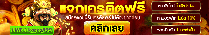 ผู้สนับสนุน